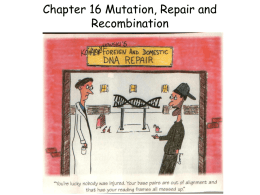 Mutation, repair, and recombination