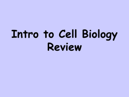 Intro to Biology review - Local.brookings.k12.sd.us