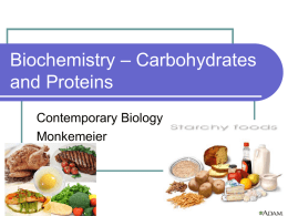 Carbohydrates and Proteins