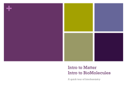 Intro to Matter Intro to BioMolecules