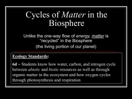 Cycles of Matter in the Biosphere