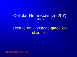 voltage-gated channels - The Parker Lab at UCI