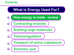 KS4 What is Energy Used For