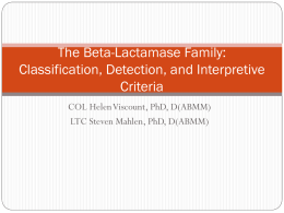 The Beta-Lactamase Family: Classification, Detection