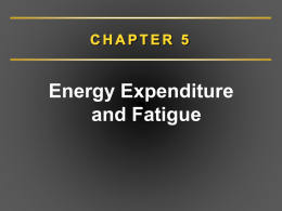 Energy Expenditure at Rest