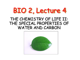 Lecture 4: The Chemistry of Life II