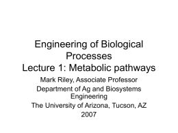 Metabolic pathways