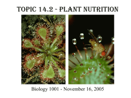Topic 14.2 Plant Nutrition