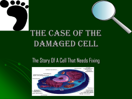 The Case Of The Damaged Cell