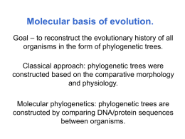 Molecular basis of evolution.