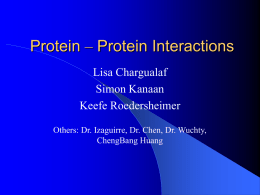 Protein – Protein Interactions