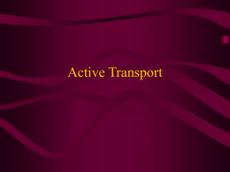 5 Active Transport,endoandexocytosis