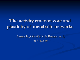 The activity reaction core and plasticity of metabolic networks
