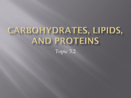 Carbohydrates, Lipids, and proteins