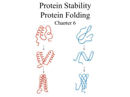 Protein Stability Protein Folding
