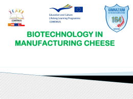BIOTECHNOLOGY IN MANUFACTURING CHEESE What is