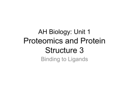 Unit 1 PPT 3 (2biii-iv Binding and conformation)