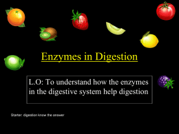 Enzymes for digesting proteins