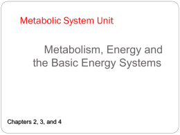 Part B: Energy for Movement
