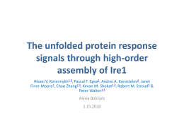 The unfolded protein response signals through high