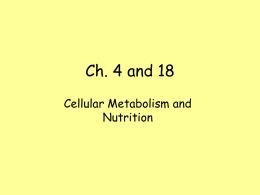 Cellular Metabolism and Nutrition notes