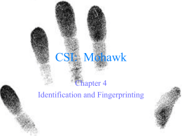 Notes on Fingerprints