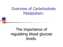 Overview of Carbohydrate Metabolism