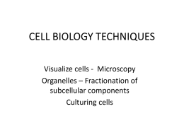 CELL BIOLOGY TECHNIQUES