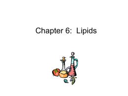 chapter_6_ppt