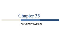 Urinary, ch. 35