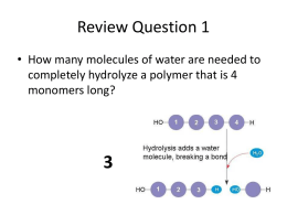 Review Question 1 - mr-youssef-mci