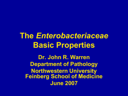 The Enterobacteriaceae