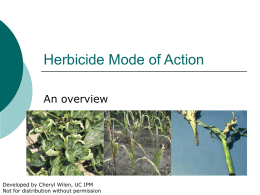Herbicide mode of action - San Diego Master Gardeners