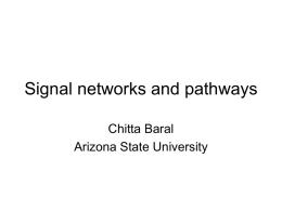 Signal networks and pathways