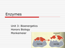 Enzymes - Madison Public Schools