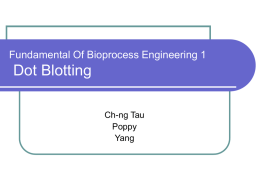 2004 Dot blotting presentation by Chng-Tau, Poppy, and