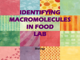 Identifying Macromolecules in Food PPT