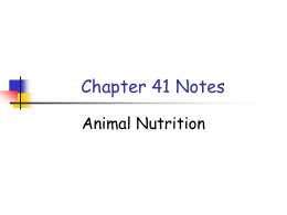 Chapter 1 Notes
