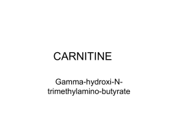 ppt file/carnitine