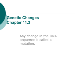 Genetic Changes Chapter 11.3
