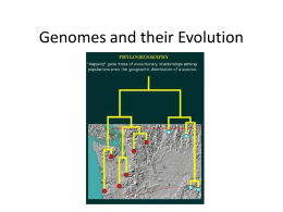 APGenomes and Evolution 15 16