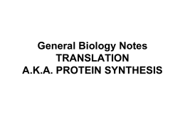 General Biology Notes CH 12: TRANSLATION A.K.A. PROTEIN