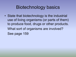 biotech start (becsmith v1)