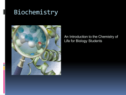 biomolecule