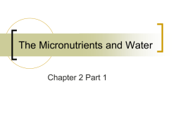 The Micronutrients and Water
