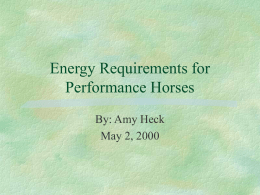 Energy Requirements for Performance Horses