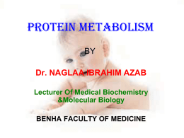 general protein metabolism