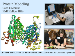 Protein Modeling
