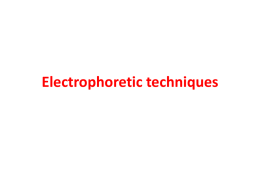 Electrophoretic_techniques2003