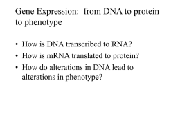 B1510_module4-6_DNA_to_protein_questions